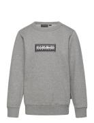 Chamois Sweatshirt Tops Sweatshirts & Hoodies Sweatshirts Grey Napapijri