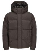 Jjebradley Puffer Hood Sn Foret Jakke Brown Jack & J S