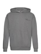 Halo Essential Hoodie Sport Sweatshirts & Hoodies Hoodies Grey HALO