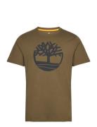 Kbec River Tree Tee Tops T-Kortærmet Skjorte Green Timberland