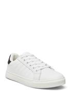 Percy W Low-top Sneakers White Exani