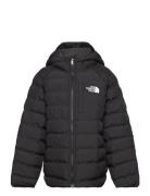 B Reversible Perrito Hooded Jacket Foret Jakke Black The North Face