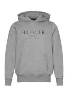 Big Hilfiger Hoody Tops Sweatshirts & Hoodies Hoodies Grey Tommy Hilfiger