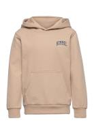 Hmlfast Hoodie Tops Sweatshirts & Hoodies Hoodies Pink Hummel