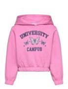 Nkfolanja Ls Short Loose Swe Wh Bru Pb Tops Sweatshirts & Hoodies Hoodies Pink Name It