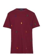 Polo Pony Cotton Mesh Tee Tops T-Kortærmet Skjorte Burgundy Ralph Lauren Kids