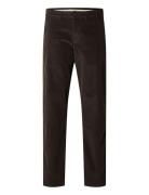 Slh196-Straight Miles Cord Pants W Noos Bottoms Trousers Chinos Brown Selected Homme