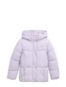 Puffer Jacket Foret Jakke Purple Tom Tailor