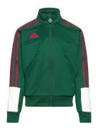 J Np Ttop Sport Sweatshirts & Hoodies Sweatshirts Green Adidas Sportswear