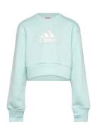 Jg Glm Crew Tops Sweatshirts & Hoodies Sweatshirts Blue Adidas Sportswear