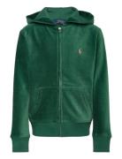 Corduroy Jogger Pant Tops Sweatshirts & Hoodies Hoodies Green Ralph Lauren Kids