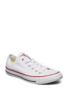 All Star Ox Optical White Low-top Sneakers White Converse