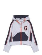 College Zip Hoodie Grey Mel Tops Sweatshirts & Hoodies Hoodies Grey Geggamoja