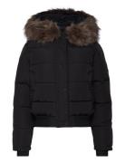 Everest Hooded Bomber Jkt Foret Jakke Black Superdry