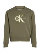 Outlined Mono Relaxed Cn Tops Sweatshirts & Hoodies Sweatshirts Khaki Green Calvin Klein