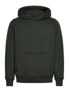 Anf Mens Sweatshirts Tops Sweatshirts & Hoodies Hoodies Green Abercrombie & Fitch