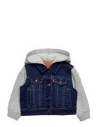 Dj-Denim Jackets Outerwear Jackets & Coats Denim & Corduroy Blue Levi's