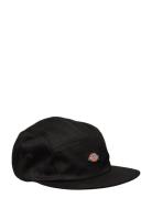 Albertville Designers Headwear Caps Black Dickies