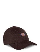 Hardwick Corduroy Cap Designers Headwear Caps Brown Dickies