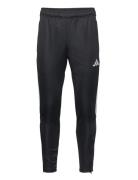 Tiro23 Club Training Pant Men Sport Running-training Tights Black Adidas Performance