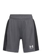 Ua B's Ch. Knit Short Bottoms Shorts Sport Shorts Grey Under Armour