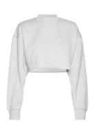 Studio Over D Cropped Crew Sport Crop Tops Long-sleeved Crop Tops Grey Björn Borg