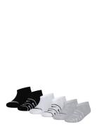 6N-6Pk No Show Sock Sport Socks & Tights Socks Black Nike