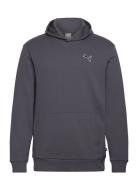 Better Essentials Hoodie Fl Sport Men Sport Clothing Sport Sweatshirts & Hoodies Sport Hoodies Grey PUMA