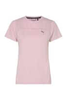 W Seasons Drycell Tee Sport Women Sport Clothing Sports Tops & T-shirts Sport T-Skjorte Pink PUMA