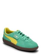 Palermo Sport Women Sport Shoes Sport Sneakers Sport Low Top Sneakers Green PUMA