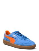 Palermo Sport Women Sport Shoes Sport Sneakers Sport Low Top Sneakers Blue PUMA