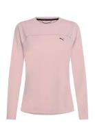 W Seasons Drycell Ls Tee Sport Women Sport Clothing Sports Tops & T-shirts Sport T-Skjorte Pink PUMA