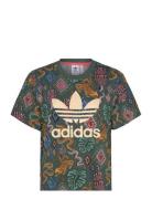 Adidas X Farm Trefoil Tee Sport Women Sport Clothing Sports Tops & T-shirts Sport T-Skjorte Green Adidas Originals