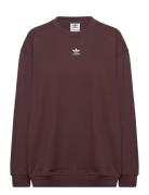 Essentials Over D French Terry Sweatshirt Sport Women Sport Clothing Sport Sweatshirts & Hoodies Sport Sweatshirts Brown Adidas Originals