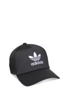 Adicolor Classic Curved Foam Trucker Sport Women Sport Accessories Sport Caps Black Adidas Originals