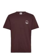 Graphic Tee Sport Men Men Sports Clothes Sport Tops Sport T-Skjorte Brown Adidas Originals