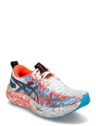 Noosa Tri 16 Sport Men Sport Shoes Sport Running Shoes Multi/patterned Asics