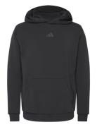 D4T Hoodie Sport Sport Clothing Sport Sweatshirts & Hoodies Sport Hoodies Black Adidas Performance