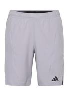 D4T Short Sport Sport Clothing Sport Shorts Sport Training Shorts Grey Adidas Performance