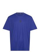 Power Tee Sport Men Men Sports Clothes Sport Tops Sport T-Skjorte Blue Adidas Performance