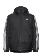 Adidas Essentials 3S Insulated Hooded Jacket Sport Men Sport Clothing Sport Outerwear Sport Jackets Sport Padded Jackets Black Adidas Sportswear