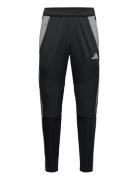 Tiro24 Winpnt Sport Men Sport Clothing Sport Pants Sport Training Pants Black Adidas Performance