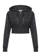 Adidas Originals Short Fullzip Hoodie Sport Women Sport Clothing Sport Sweatshirts & Hoodies Sport Hoodies Black Adidas Originals