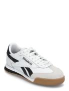 Campio Xt Sport Women Sport Shoes Sport Sneakers Sport Low Top Sneakers White Reebok Classics