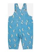 Baby Beneath The Moon Micro Corduroy Dungaree Bottoms Dungarees Blue Bobo Choses