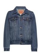 Levi's® Trucker Jacket Outerwear Jackets & Coats Denim & Corduroy Blue Levi's