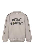 Mini Rodini Cats Sp Sweatshirt Tops Sweatshirts & Hoodies Sweatshirts Grey Mini Rodini