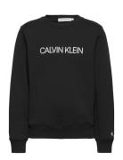 Institutional Logo Sweatshirt Tops Sweatshirts & Hoodies Sweatshirts Black Calvin Klein