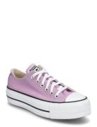 Chuck Taylor All Star Lift Sport Sport Shoes Sport Sneakers Sport Low Top Sneakers Pink Converse