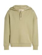 Embro. Ck Logo Terry Hoodie Tops Sweatshirts & Hoodies Hoodies Green Calvin Klein